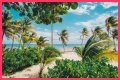 Best Costa Maya Beaches to Visit