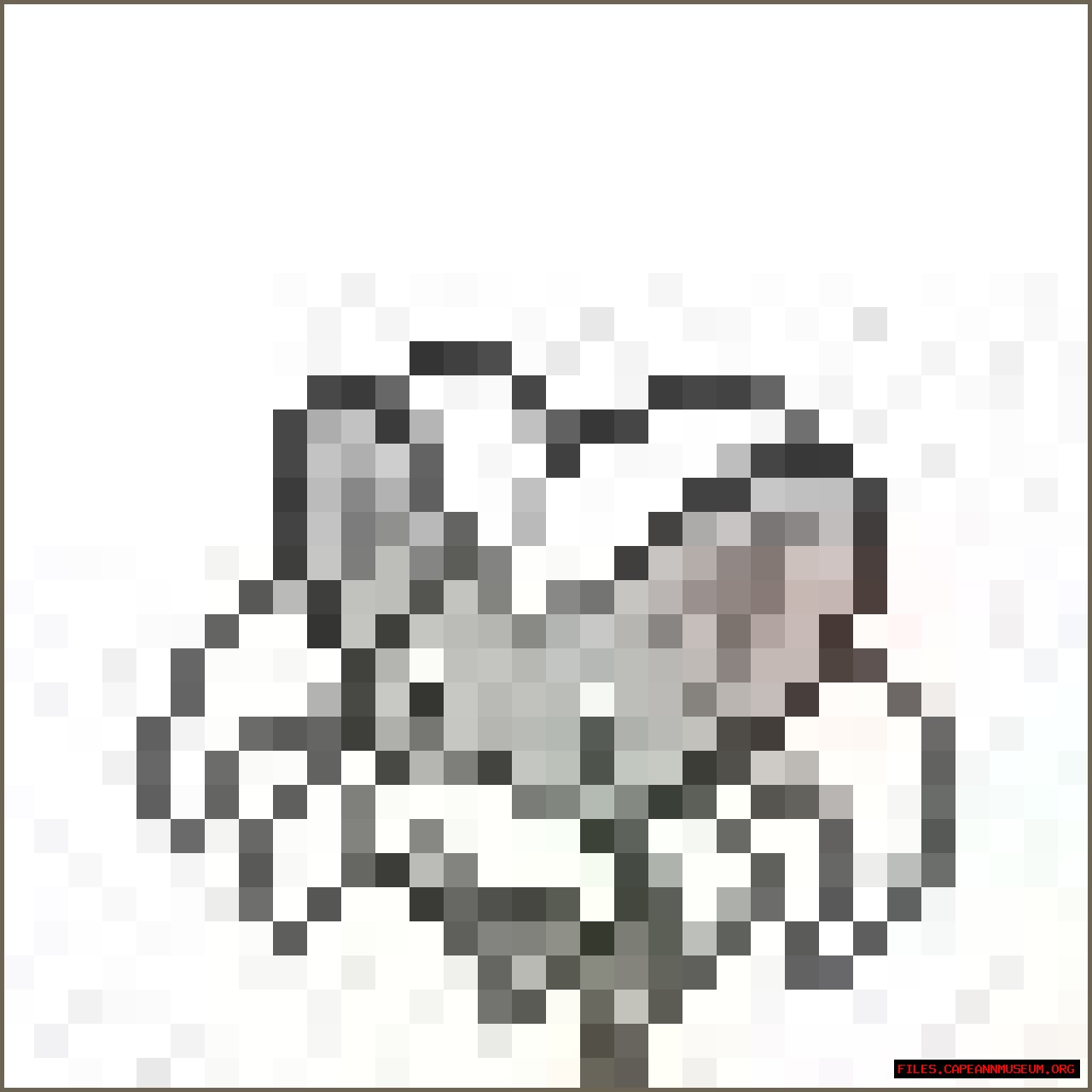 HTML