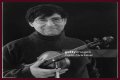 David Shapiro (musician)