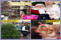 Exclusive: The 'Real Housewives' Personal Christmas Photos!