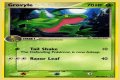 Grovyle (EX Emerald 28) - Bulbapedia, the community-driven Pokémon encyclopedia