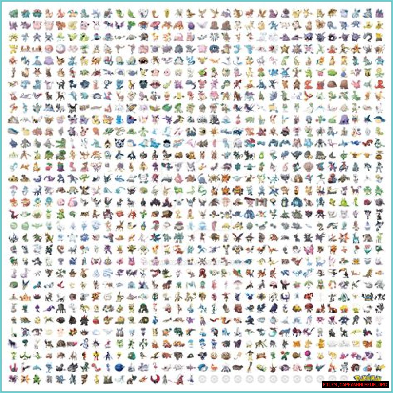 HTML