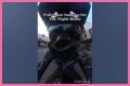 Night Rider Arrested, What Happened To Night Rider?