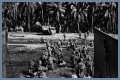 WWII's Most Daring Raids - Smithsonian Channel